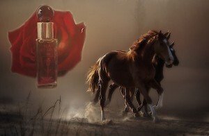 Ароматы-книги Odoratika: Толкиен и Мэрилин Монро